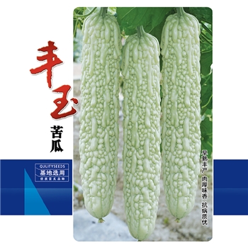 丰玉苦瓜