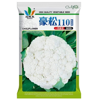 豪松110