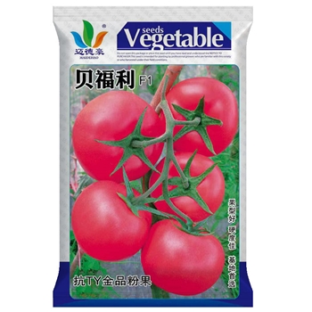贝福利