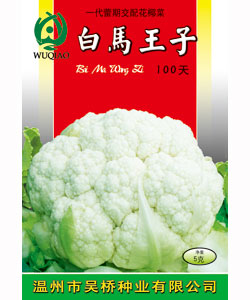 【吴桥】白马王子100 -花椰菜种子