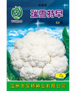 【吴桥】瑞雪特大60 -花椰菜种子