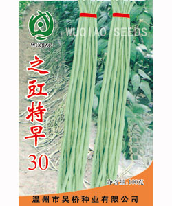 【吴桥】之豇特早30