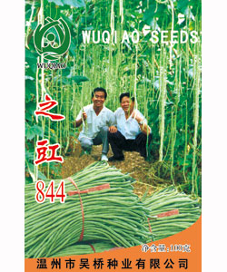 之豇844