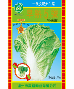 【吴桥】早熟5号（小菜型）-大白菜种子