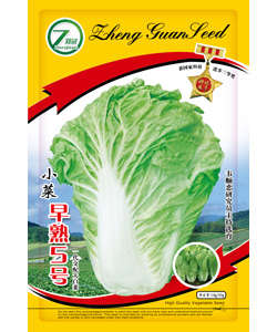【吴桥】郑冠小菜早熟五号-大白菜种子