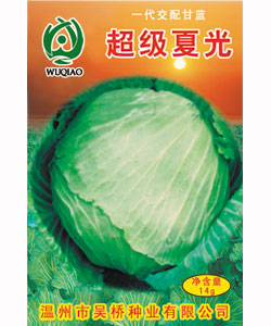 【吴桥】超级夏光 -甘蓝种子 包菜种子