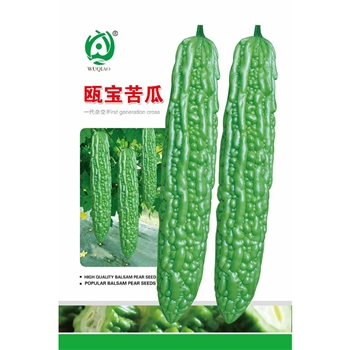 瓯宝苦瓜