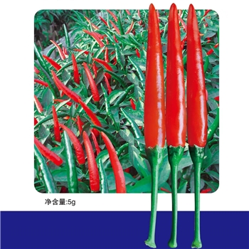 泰美2191