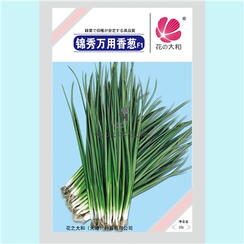 【佳禾农业】锦秀-香葱种子-小香葱-生长速度快