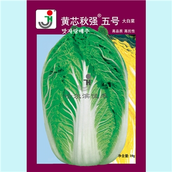 【佳禾农业】黄芯秋强五号-白菜种子
