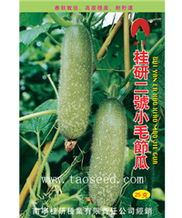 桂研二号毛节瓜