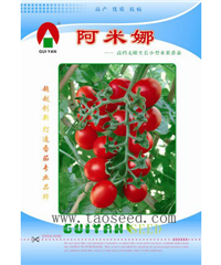 阿米娜 -番茄种子