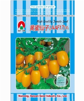 黄蜜仙子 -番茄种子