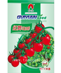 红舞 -番茄种子