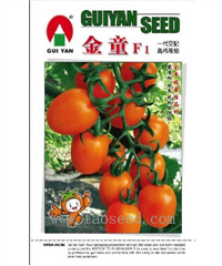 金童 -番茄种子