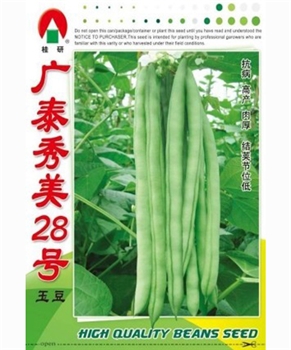 广泰秀美28号玉豆