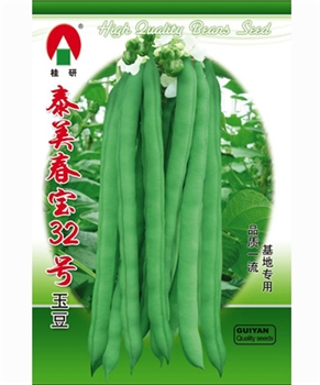 泰美春宝32号玉豆