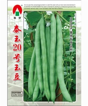 泰玉20号