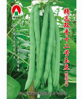 精选双青十二号