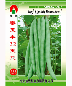泰玉丰22玉豆