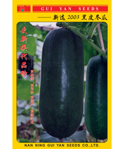 新选2003黑皮冬瓜