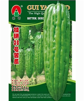 桂研36号苦瓜