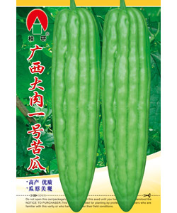 广西大肉一号苦瓜