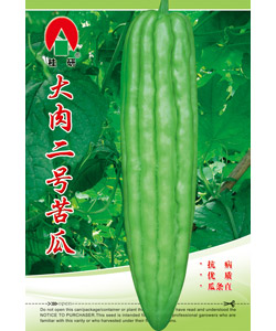 大肉二号苦瓜