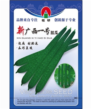 新广西一号丝瓜
