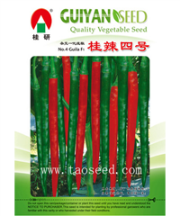 桂辣四号