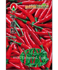 千里红