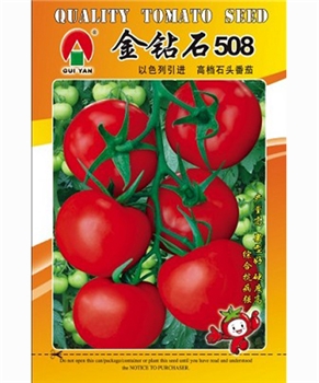 金钻石508 -番茄种子
