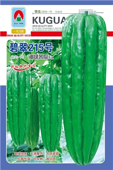 碧翠215号油绿苦瓜