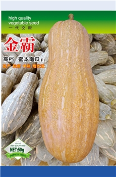 金霸