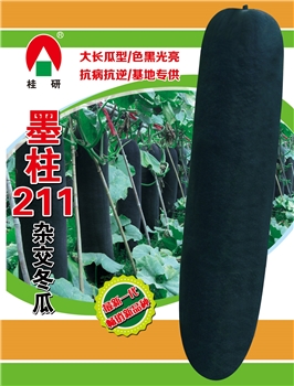 墨柱211