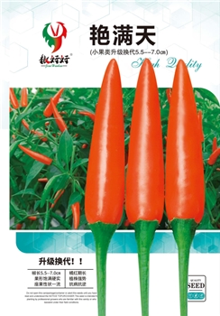 艳满天
