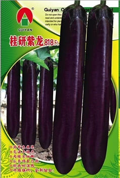 桂研紫龙818