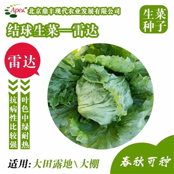 雷达