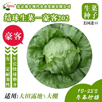 豪客
