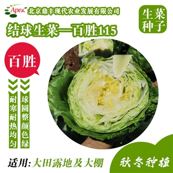 百胜
