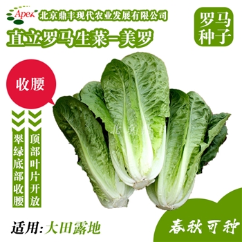 美罗