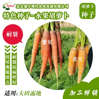 水果胡萝卜