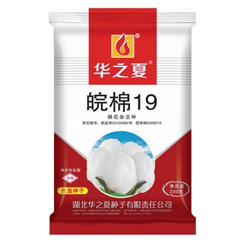 皖棉19
