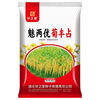 魅两优菊丰占