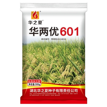 华两优601