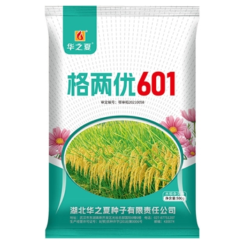 格两优601