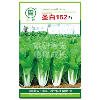 圣白152
