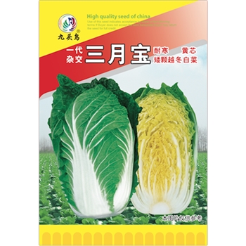 三月宝
