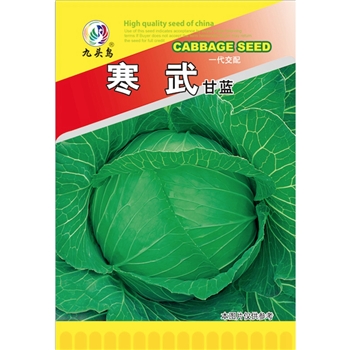 寒武