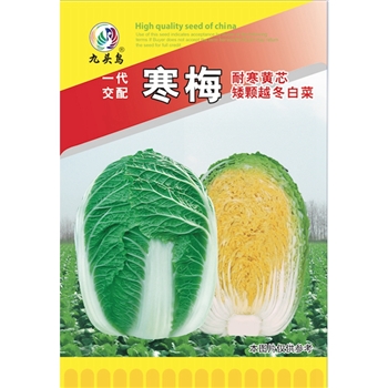 寒梅